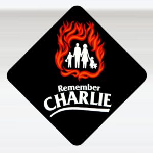 Hard Hat Decal